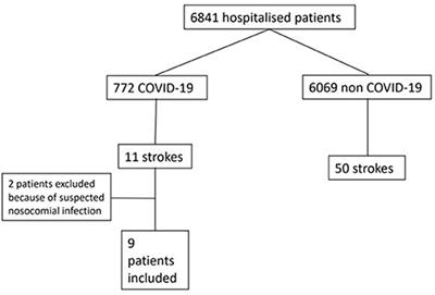 Multifocal and Microvascular Involvement in Ischemic Stroke During COVID-19: A Cohort Study With Comparison With Non-COVID-19 Stroke